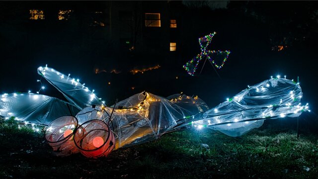 iIluminated bug illuminated bug