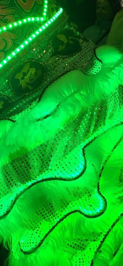 Canberra Mountain Lion