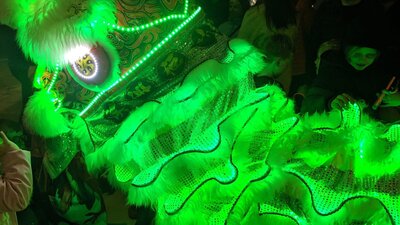 Canberra Mountain Lion