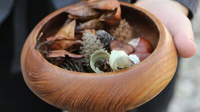 An adult hand holds a wooden bowl filled with seeds, pods and acorns
