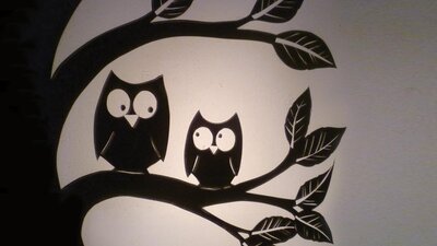 Shadow owls on a branch