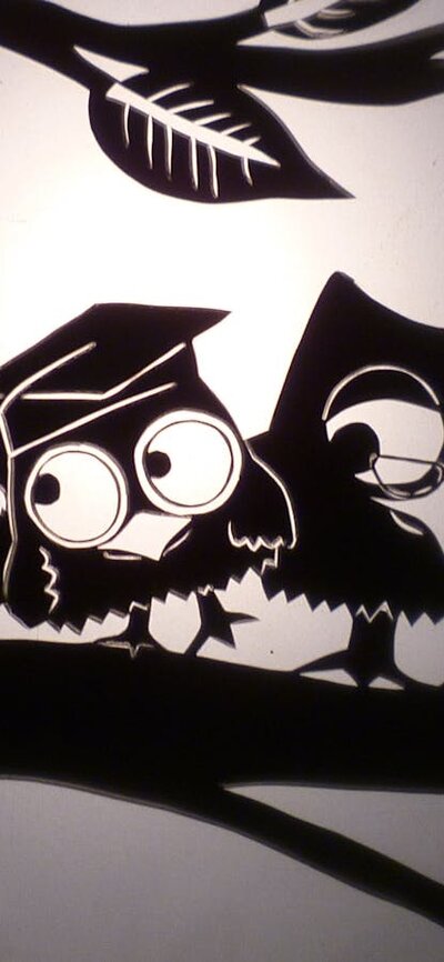 Shadow Owls on a branch
