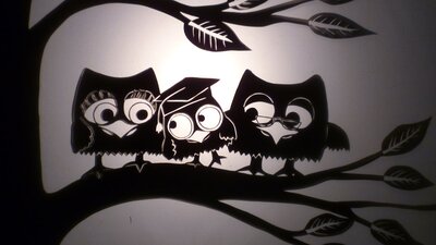 Shadow Owls on a branch