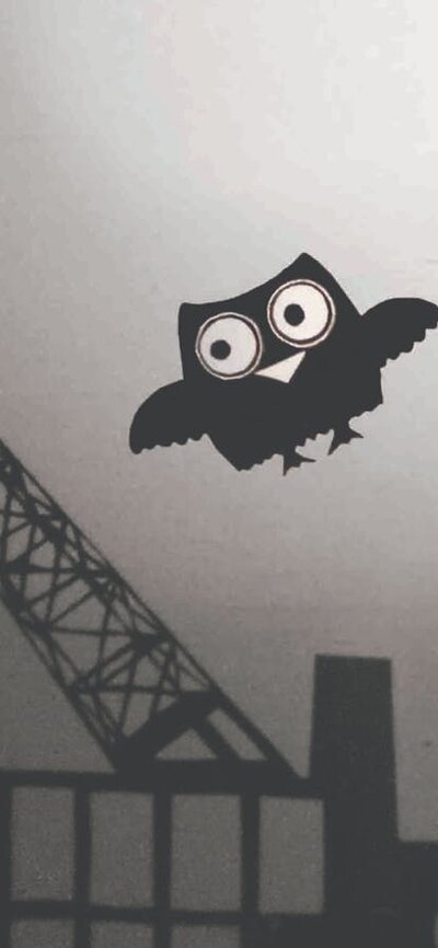 Shadow owl flying over city