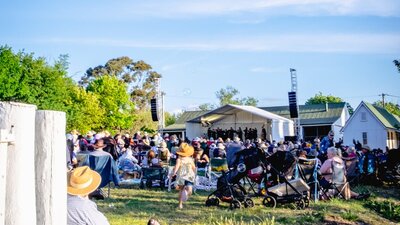 Live at Lanyon Performance from 2024, People watch CSO perform outdoors at Lanyon Homestead