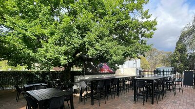 Join us for Live Music in the Beer Garden to celebrate the start of spring