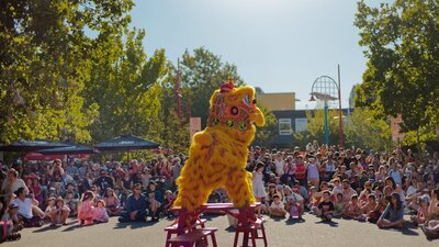 Lunar New Year