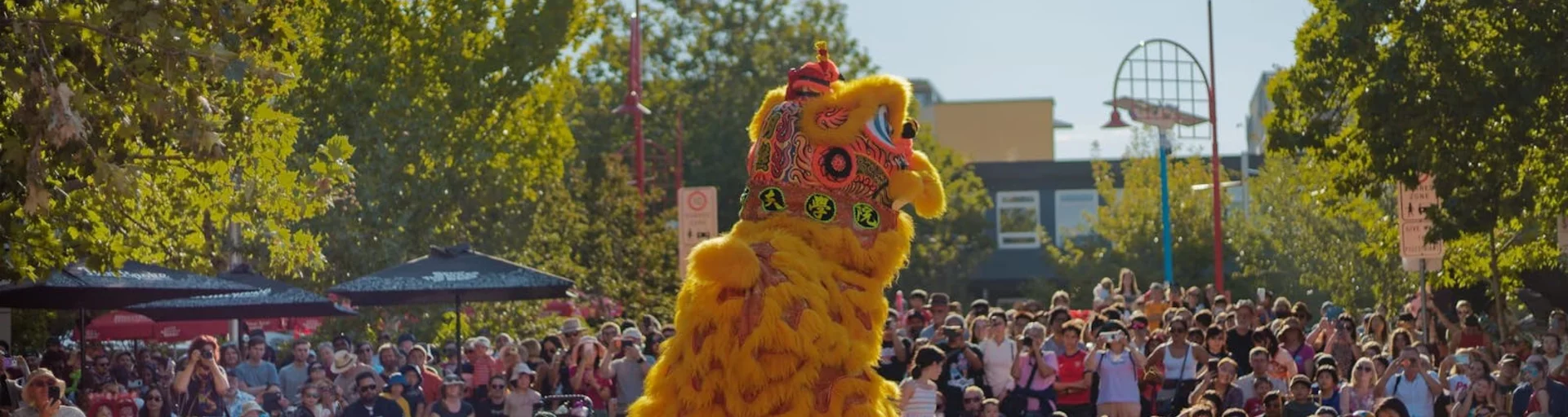 Lunar New Year Festival