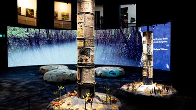 Mangroves - Tales of the Tide exhbition space at Questacon