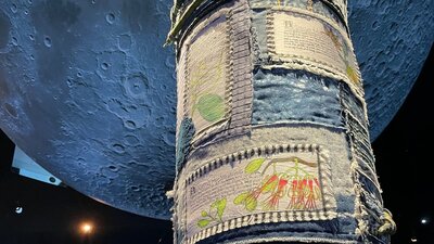 Artwork in the Mangroves - Tales from the Tide exhibition at Questacon