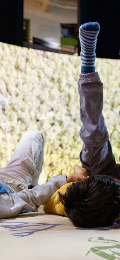 Children enjoying the Mangroves - Tales from the Tide exhibition at Questacon Children enjoying the Mangroves - Tales from the Tide exhibition at Questacon