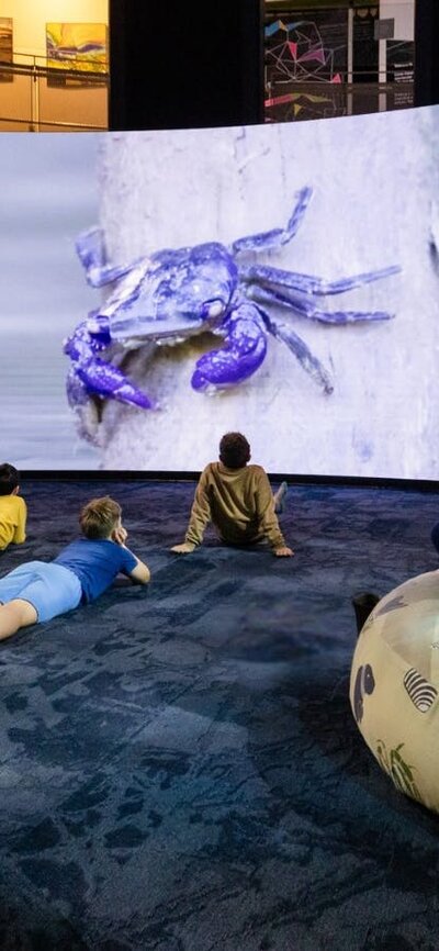 Children enjoying the Mangroves - Tales from the Tide exhibition at Questacon Children enjoying the Mangroves - Tales from the Tide exhibition at Questacon