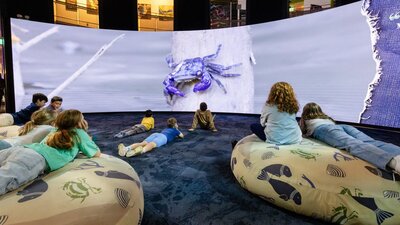 Children enjoying the Mangroves - Tales from the Tide exhibition at Questacon Children enjoying the Mangroves - Tales from the Tide exhibition at Questacon