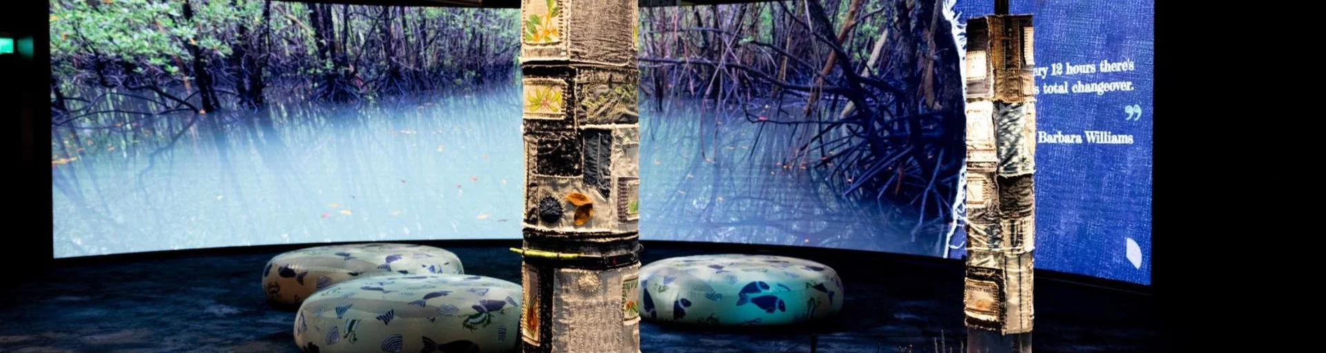 Mangroves: Tales from the Tide
