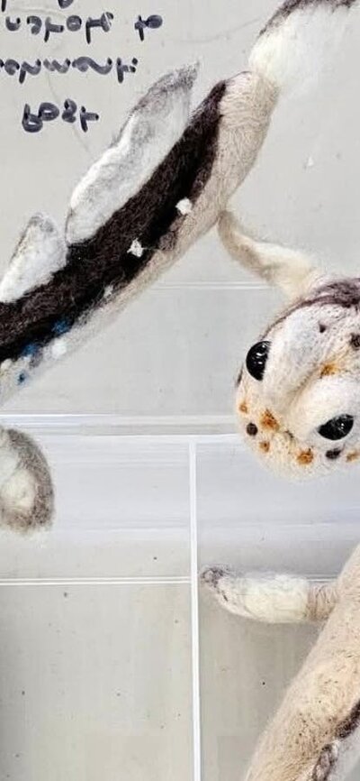 3D felt mudskipper