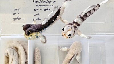 3D felt mudskipper