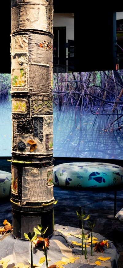 Mangroves - Tales of the Tide exhbition space at Questacon