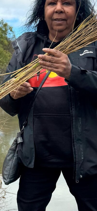 Maree Clark collecting reeds at Ginninderry Maree Clark collecting reeds at Ginninderry