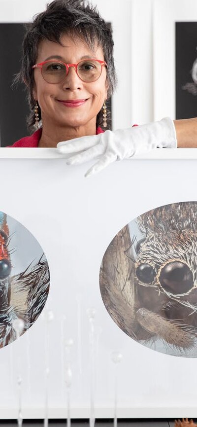 A portrait of artist Maria Fernando Cardoso in her studio posing with photograph of maratus spiders