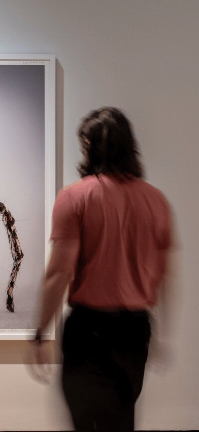 A man observing artworks in Maria Fernanda Cardoso's Spiders of Paradise exhibition