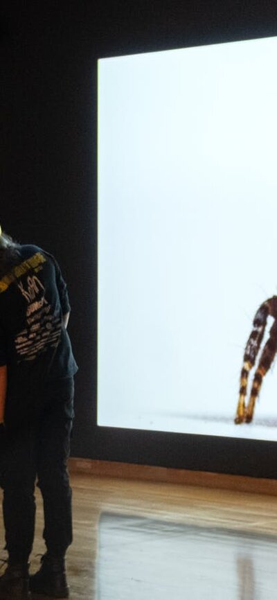 A group of people observing Art I-II by Maria Fernada Cardoso