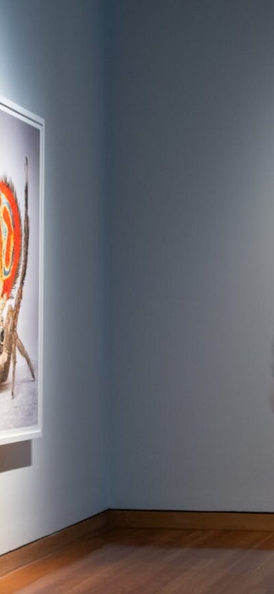 A man observing artworks in Maria Fernanda Cardoso's Spiders of Paradise exhibition