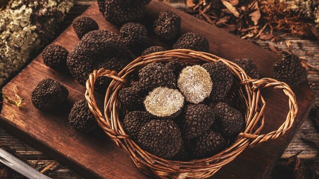 Truffle