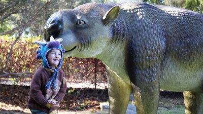 Diprotodon at the Australian National Botanic Gardens Diprotodon at the Australian National Botanic Gardens