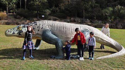 Megalania at the Australian National Botanic Gardens
