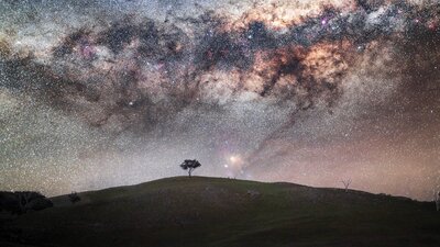 Lone Tree and the Milky Way Core A lone tree under the Mlky Way
