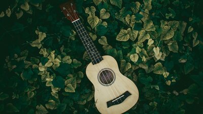 Guitar on bed of leaves Guitar on bed of leaves