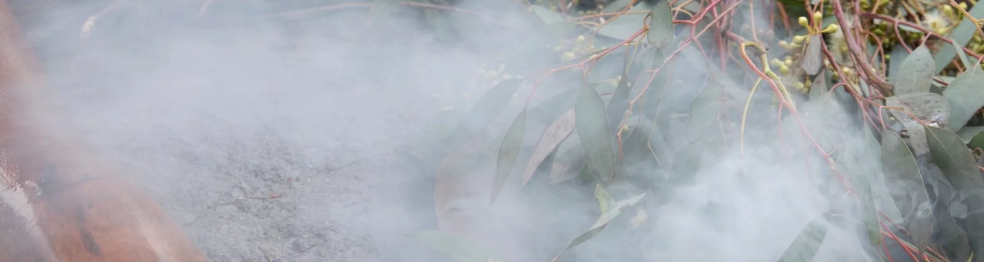 NAIDOC Week at the National Museum