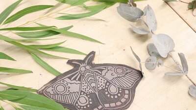 Bogong moth lino block, 2024 Bogong moth lino block