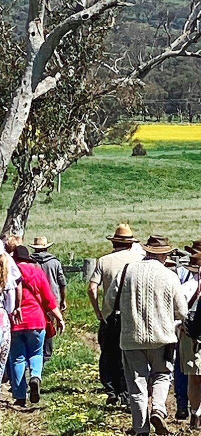 Maring Ngala Walk at Lanyon Homestead A group on the Maring Ngala walk at Lanyon Homestead