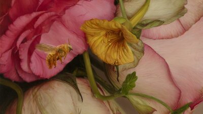 Oil on ACM Panel 20 × 20 cm