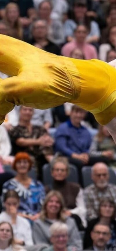 National Danish Performance Team CORE