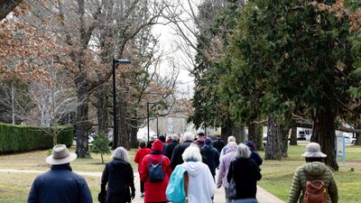 People walking through a tree lined path