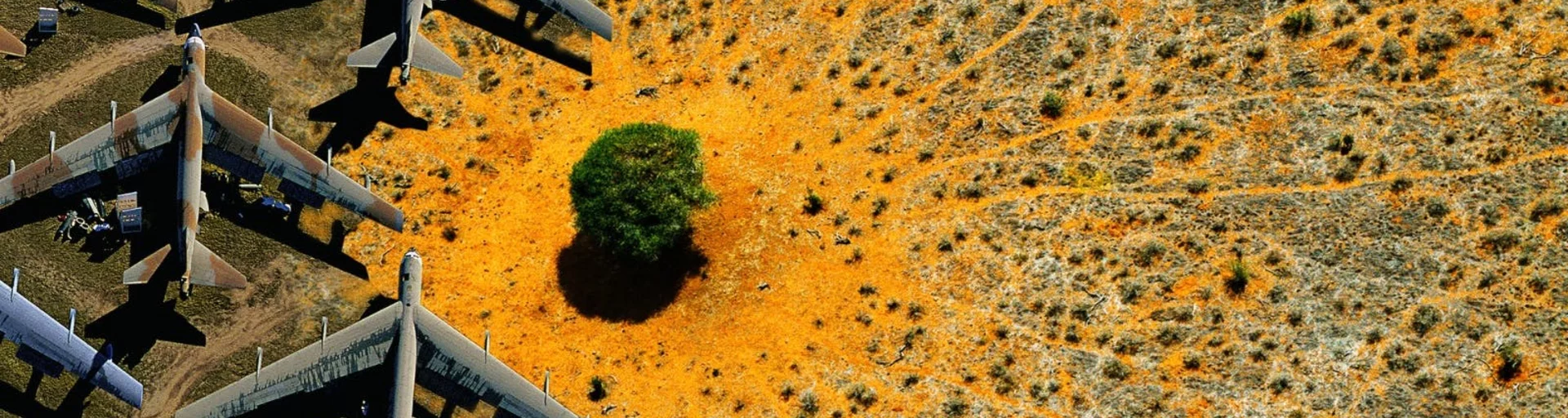 'Nature' documentary screening Canberra - Citizen COP