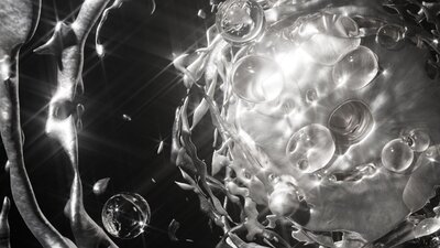 Inferno, 2025 (detail) black and white abstract fluid imagery
