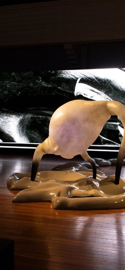 Installation view of Inferno by Mikaela Stafford