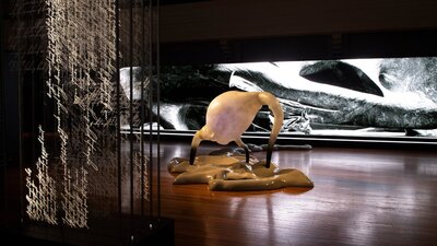 Installation view of Inferno by Mikaela Stafford