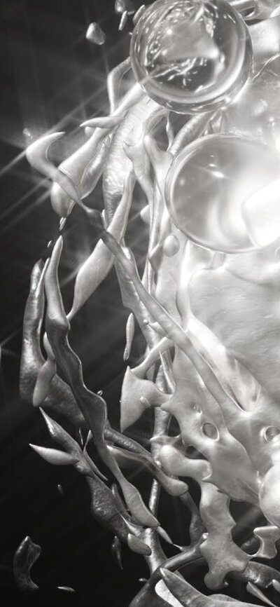 black and white abstract fluid imagery