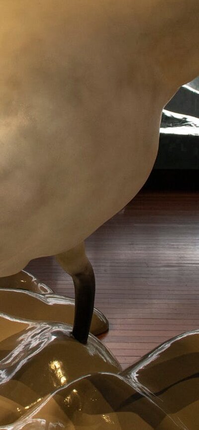 Installation view of Inferno by Mikaela Stafford