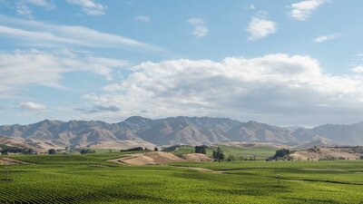 New Zealand Wine Dinner at Jamison