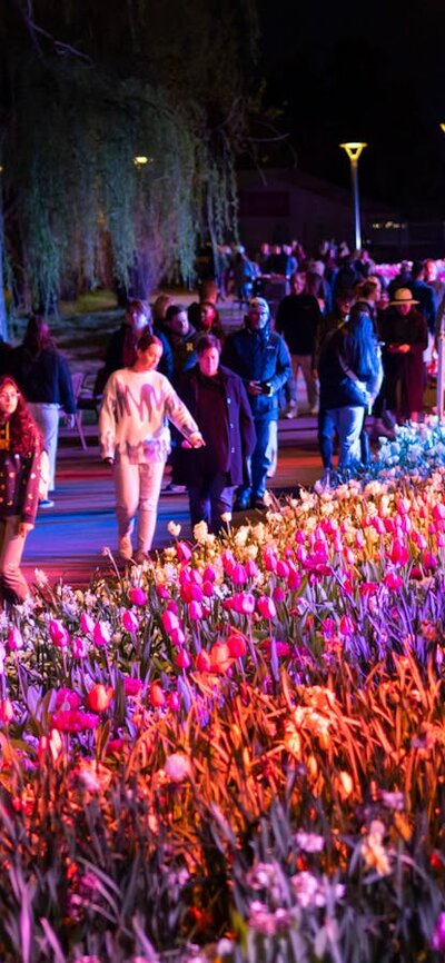 Floriade NightFest2