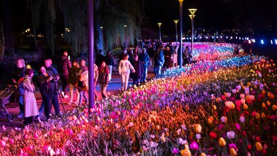 Floriade NightFest2