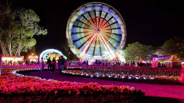 Night festival with a lit Ferris wheel, colourful flower beds and crowds under bright lights.