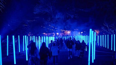 Visitors walk along a path lined with glowing blue light poles at a night time festival.