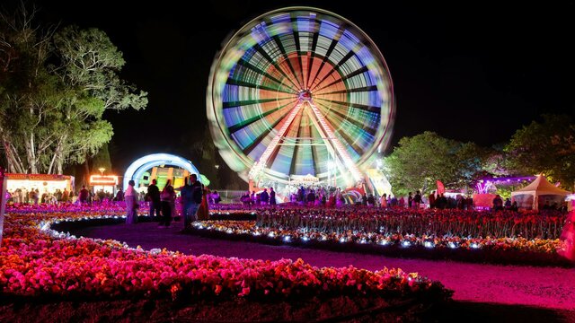 Night festival with a lit Ferris wheel, colourful flower beds and crowds under bright lights.