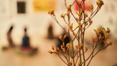 Ayurvedic Practitioner Tracey Murray of Flow and Food guides natural solutions for health